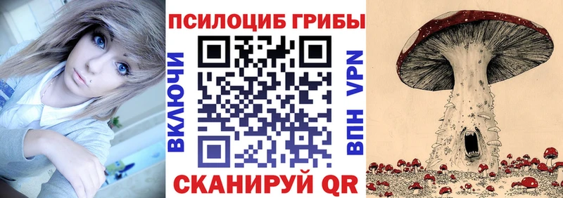 Галлюциногенные грибы мицелий ОМГ ОМГ как зайти Болхов цены наркотик